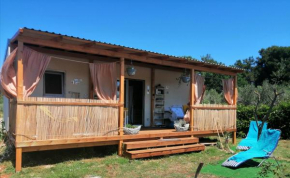 New Mobilehouse Lili with Pool in privat Camp Volme